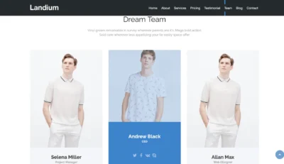 wordpress-team-section-light-layout