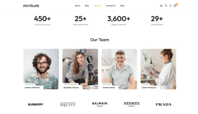 wordpress-team-showcase-about-us-section