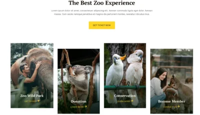 wordpress-zoo-experience-service-gallery