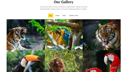wordpress-zoo-gallery-animal-collection