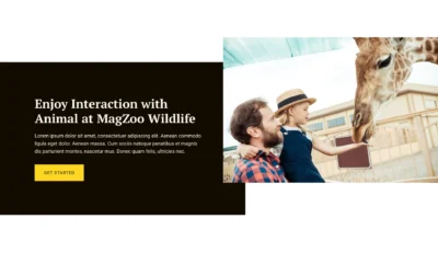 wordpress-zoo-giraffe-interaction-section